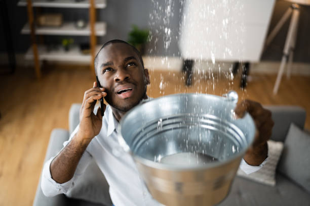 Best Commercial water damage restoration  in Guthrie, KY