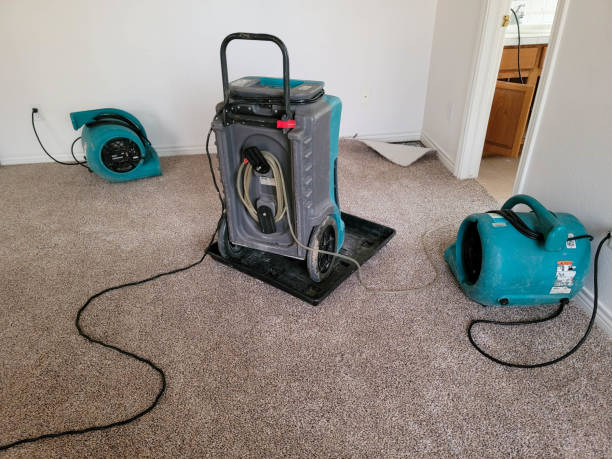 Best Local water damage restoration  in Guthrie, KY