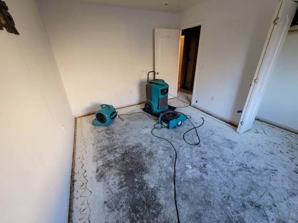 Best Carpet water damage restoration  in Guthrie, KY
