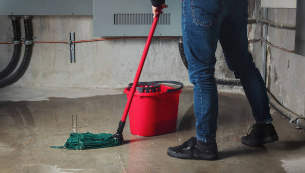 Water damage restoration mold remediation in KY