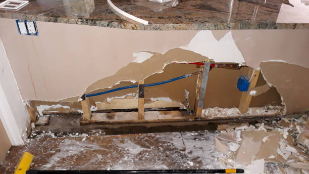 Best Flood restoration services  in Guthrie, KY