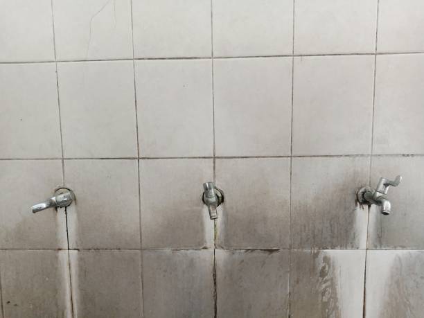 Best Ceiling water damage repair  in Guthrie, KY