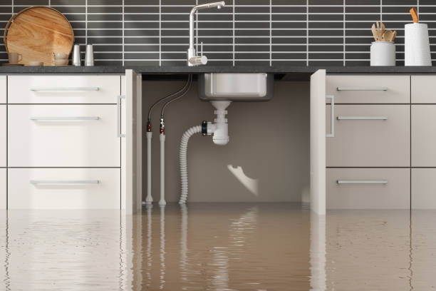 Best Water damage restoration near me  in Guthrie, KY