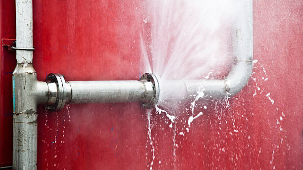 Best Flooded house restoration  in Guthrie, KY